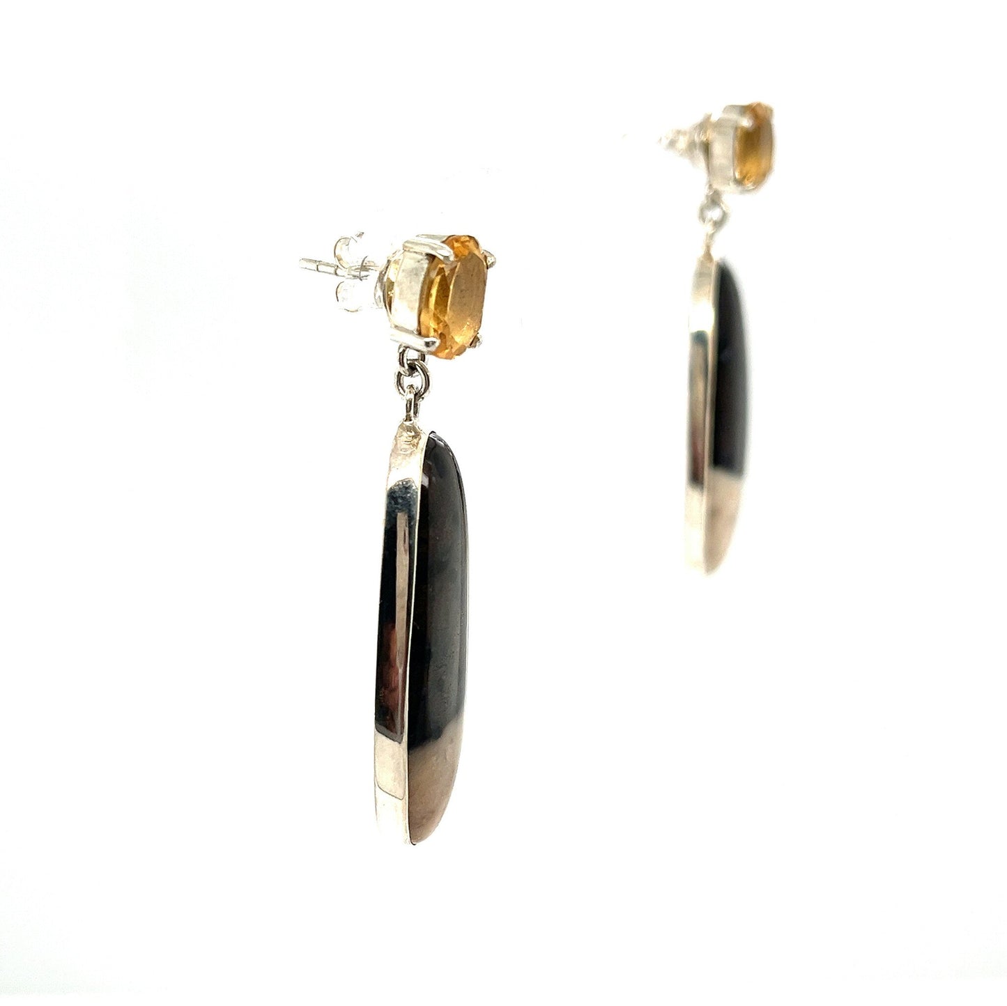 Changeable petrified palmwood earrings
