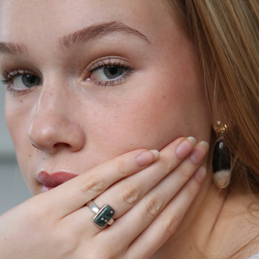 Changeable oorbellen versteend palmwood