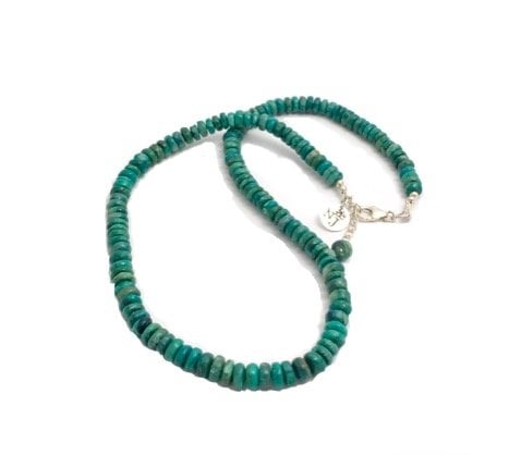 Ketting shattuckiet