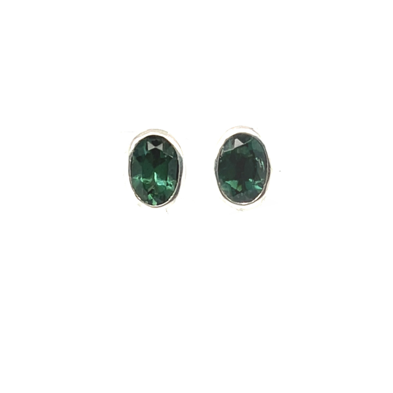 Petrified wood, tourmaline change earrings