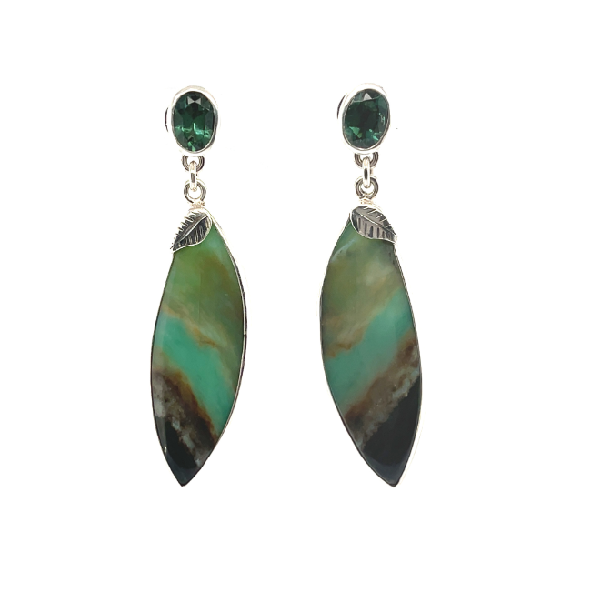 Petrified wood, tourmaline change earrings