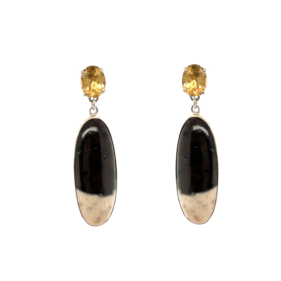 Changeable petrified palmwood earrings
