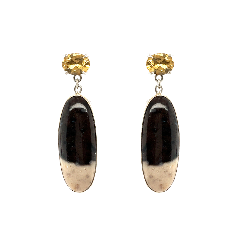 Changeable petrified palmwood earrings